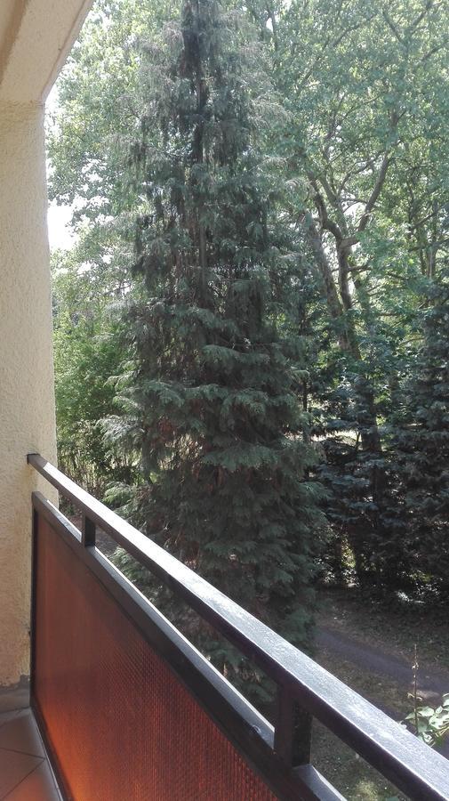 Gyoengyvirag Ueduelo - Mario Apartman Harkany Exterior photo